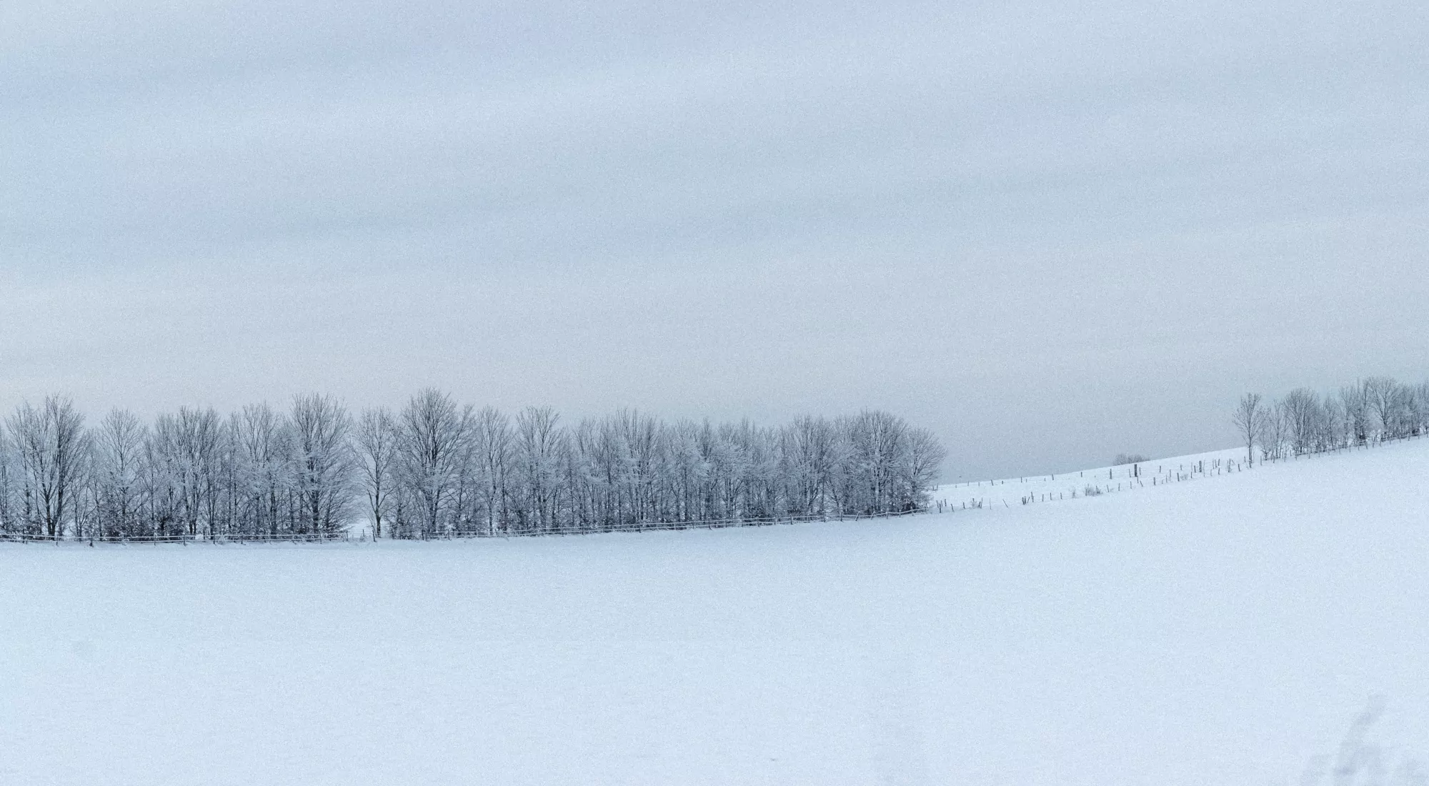 Winterlandschaft mit Schnee und Bäumen
